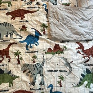 Dinosaur full down comforter with grey reversible